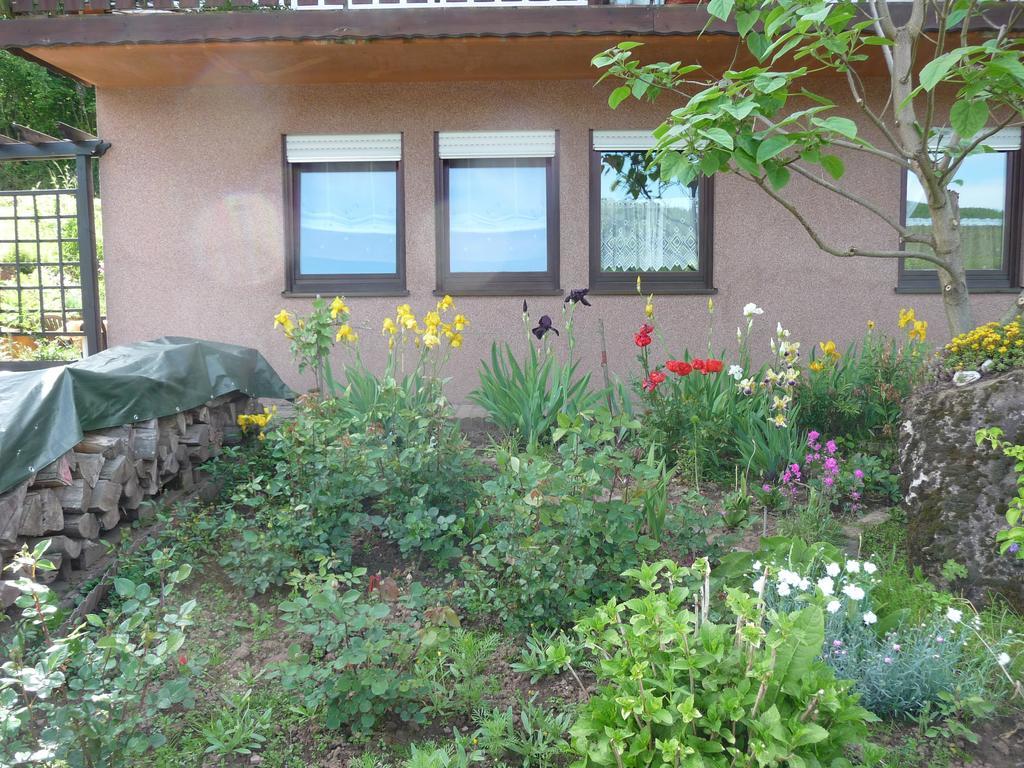 Ferienwohnung Bruni Birresborn Exterior foto